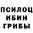 Галлюциногенные грибы GOLDEN TEACHER Enigma _Miracle
