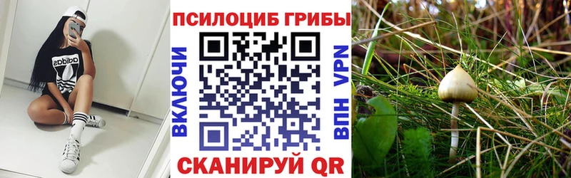 Псилоцибиновые грибы Magic Shrooms  Троицк 